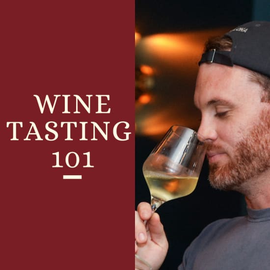 Wine Tasting101 | Exploring Great Wines from Around the Globe