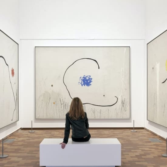 Visita la Fundació Joan Miró ¡sin colas!