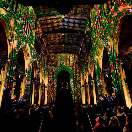 LUMINISCENCE Manchester: The 360° Immersive Show - UK Premiere