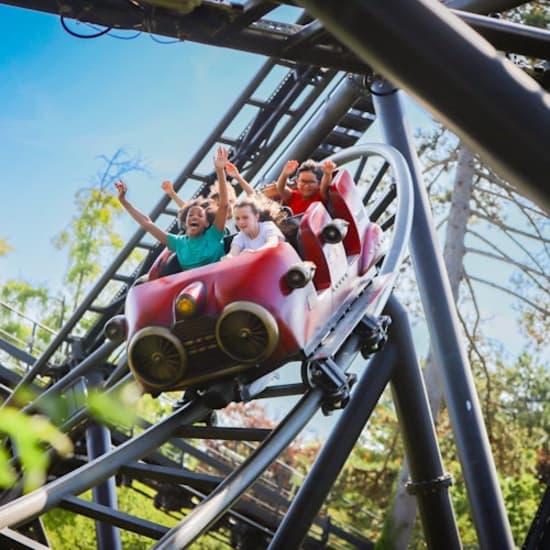 Jardin d’Acclimatation : Billet d'entrée à tarif préférentiel + Pass illimité