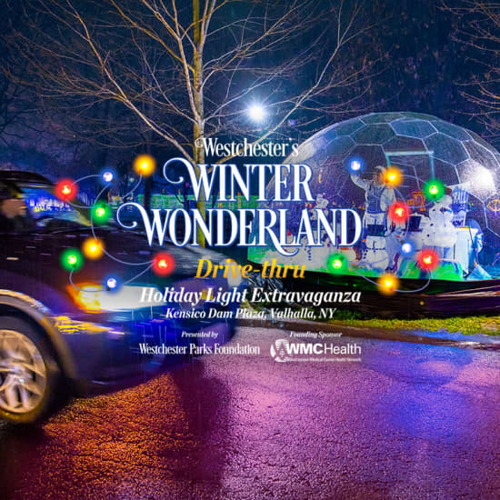 Westchester's Winter Wonderland 2024