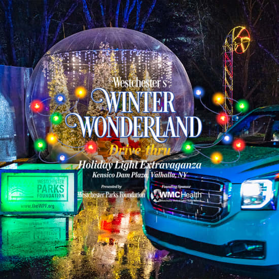 Westchester's Winter Wonderland 2024 - Lista de espera