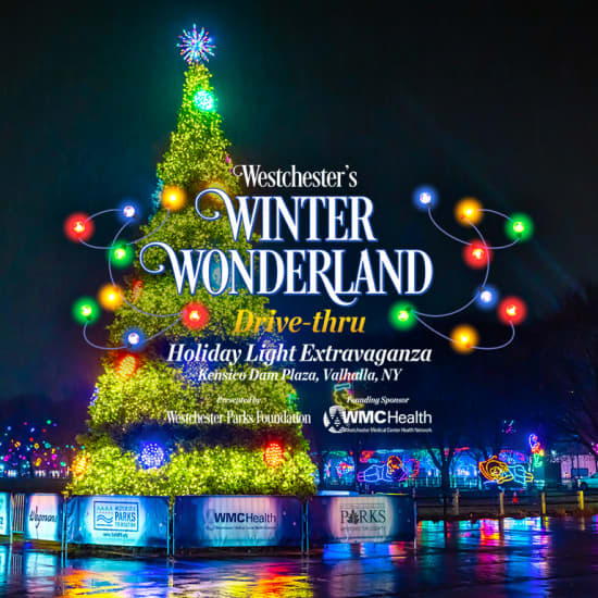 Westchester's Winter Wonderland 2024 - Waitlist