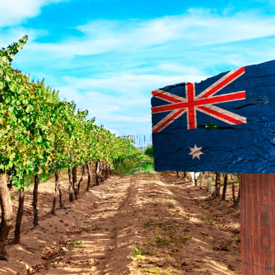 Tasting Wine from Downunder with Charcuterie