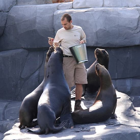 Billets pour le Parc Zoologique de Paris