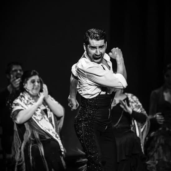 Centro Lucero: curso de flamenco con Carlos Rodríguez