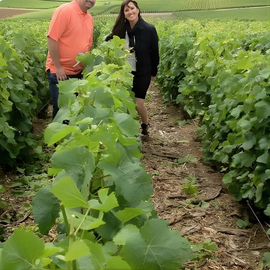 Visite de la région de Champagne en petit groupe, y compris une grande maison de champagne & Family Winery