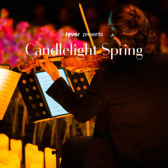 Candlelight Spring: ヴィヴァルディの四季