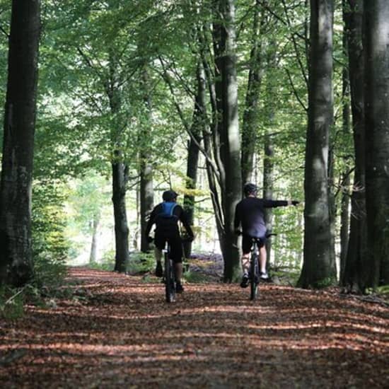 Cykeluthyrning i Malmö