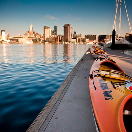 ﻿Excursion en kayak des curiosités de la ville de Melbourne