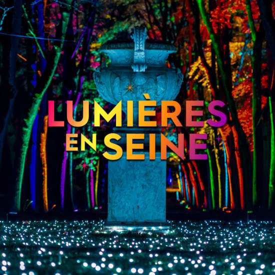 Lumières en Seine: The Illuminated and Musical Holiday Experience - Waitlist