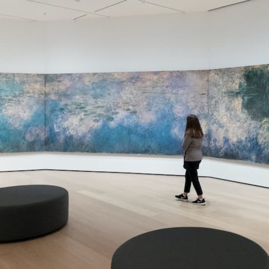 ニューヨーク近代美術館（MoMA）だ：入場券