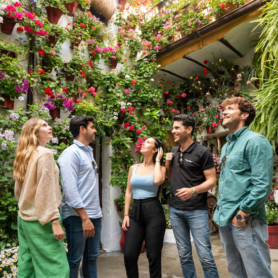 Excursión de un día desde Málaga a Córdoba con mejora de la Mezquita-Catedral – Tour Premium en Grupo Pequeño