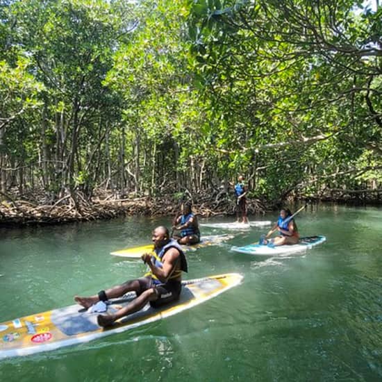 Nature Stand Up Paddle Boarding Experience in Miami