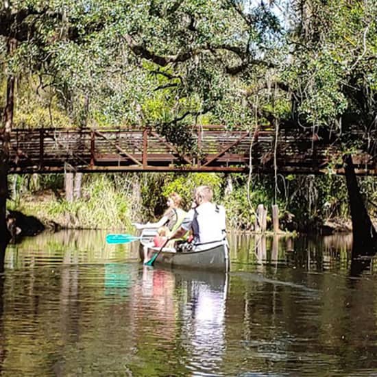 2-Hour Cypress Forest Guided Kayak Tour in Orlando