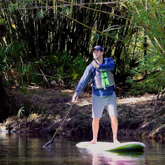 ﻿excursión guiada en kayak de 2 horas por el Bosque de los Cipreses en Orlando