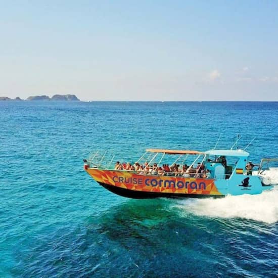 Santa Ponsa: Cuevas, Acantilados + Excursión en Barco por la Bahía de Palma