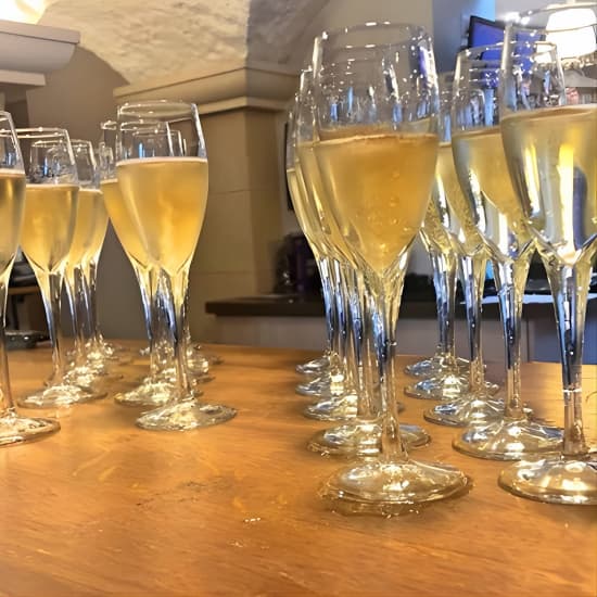 Champagne Area Small-Group Tour including a Top Champagne house & Family Winery
