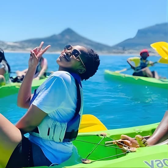 Guided Kayaking in Hout Bay