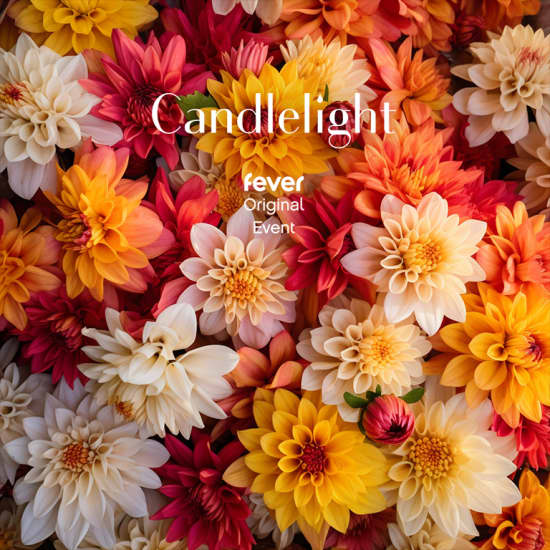 Candlelight Bollywood op strijkinstrumenten Den Haag Fever