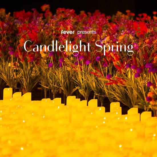 Candlelight Spring: Rock, Nirvana, Led Zeppelin, Metallica ed altri