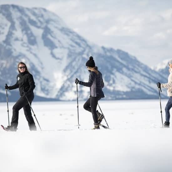 8 Hour Combination Snowshoe & Wildlife Viewing in Grand Teton National Park