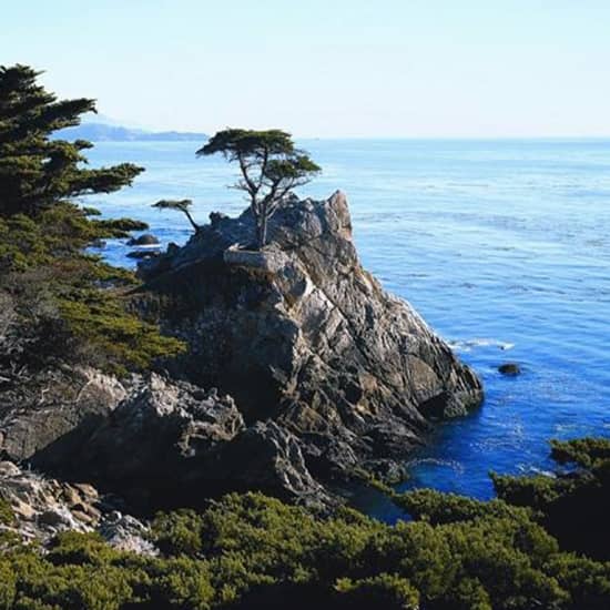 Day Trip to Monterey and Carmel via California Coast