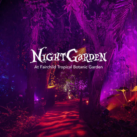 NightGarden: A Magical Light Experience - Waitlist