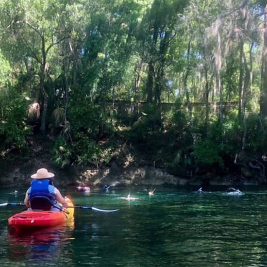 ﻿Excursión guiada en kayak por el río Wekiva