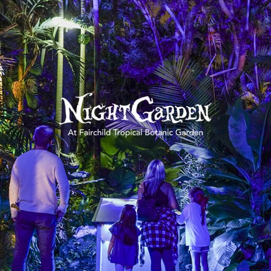 NightGarden: A Magical Light Experience - Waitlist