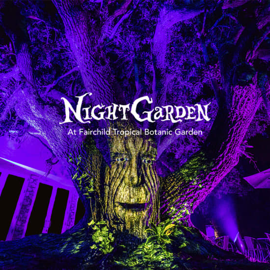 NightGarden: Una experiencia de luz mágica - Lista de espera