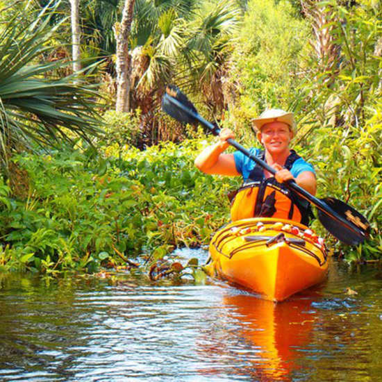 Wekiva River Guided Kayak Tour