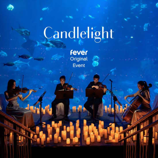 Candlelight Halloween: Classical Compositions at SEA LIFE Aquarium