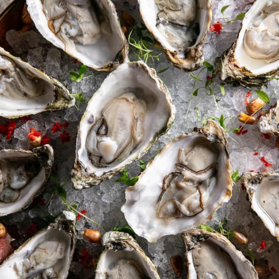 £1 Oysters, Bubbles & Live Music