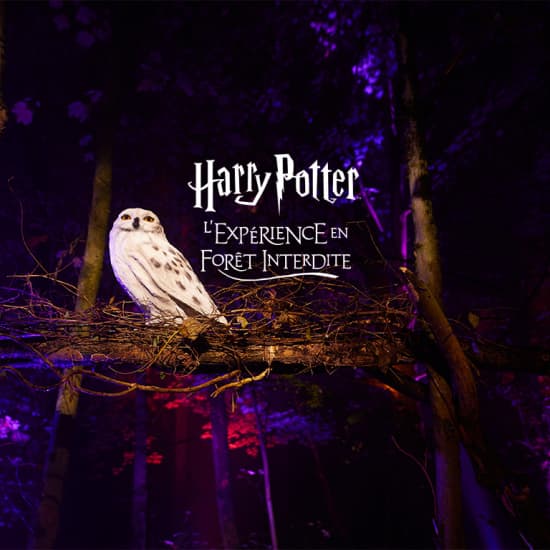 Harry Potter : L’Expérience en Forêt Interdite - Liste d’attente