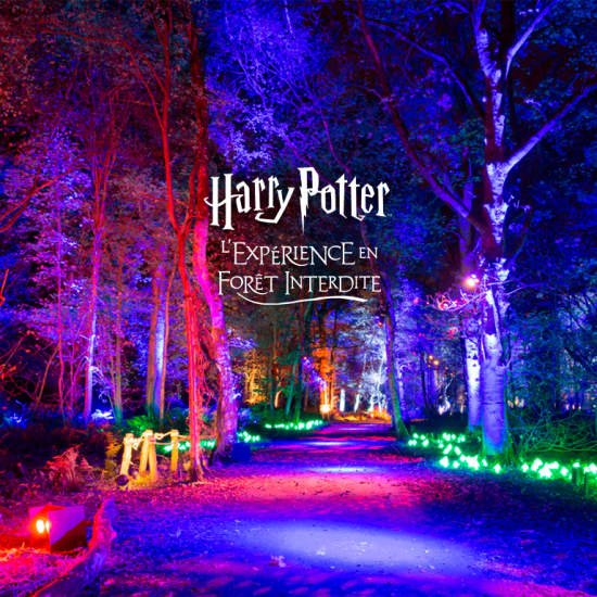 Harry Potter : L’Expérience en Forêt Interdite - Liste d’attente