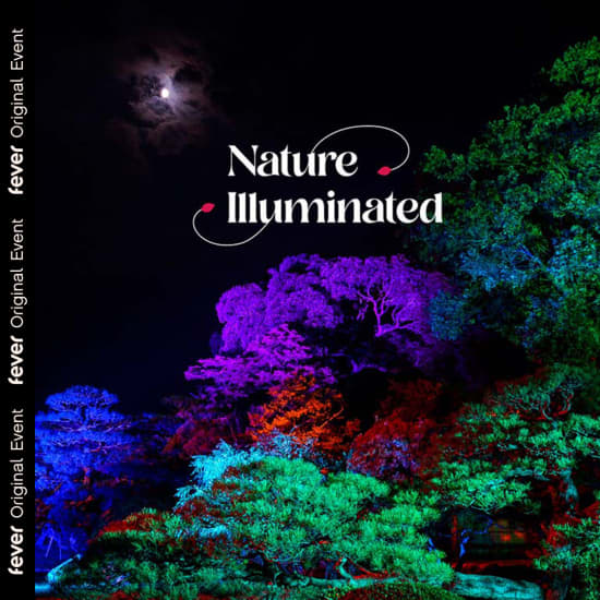 Nature Illuminated: The Harmony of the Seasons