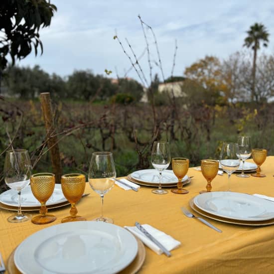 Almoço entre vinhas! Uma experiência gastronómica em Tomar