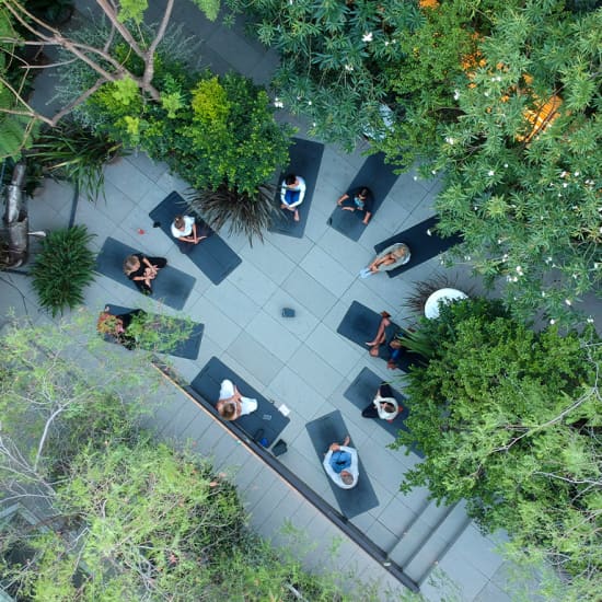 ﻿Yoga in the Secret Garden of the Mandarin Hotel 5*.