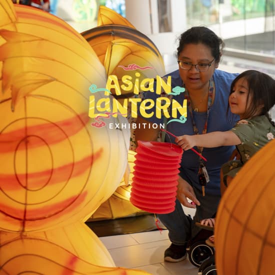 Asian Lantern Exhibition at American Dream