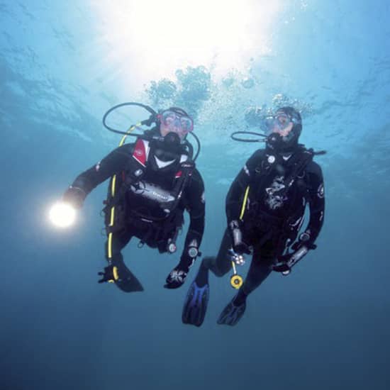 Full-Day Scuba Diving Charter to Goat Island Marine Reserve from Warkworth
