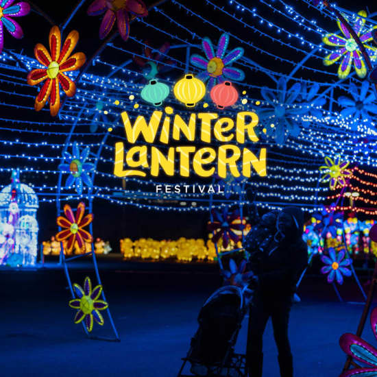 Winter Lantern Festival