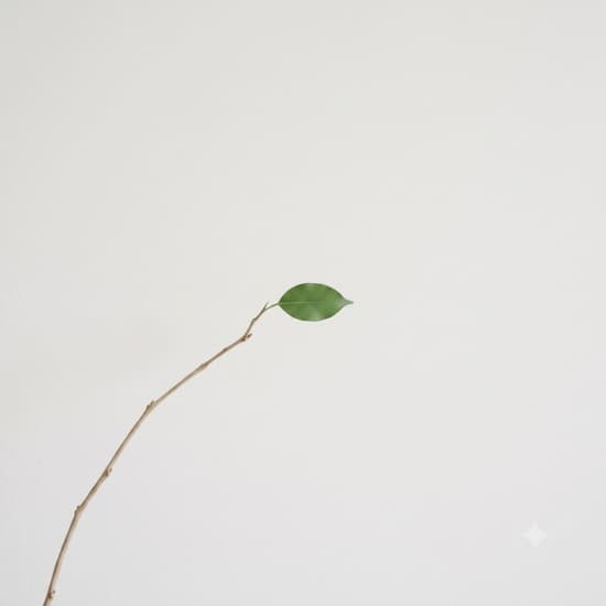 FAQs Test 5