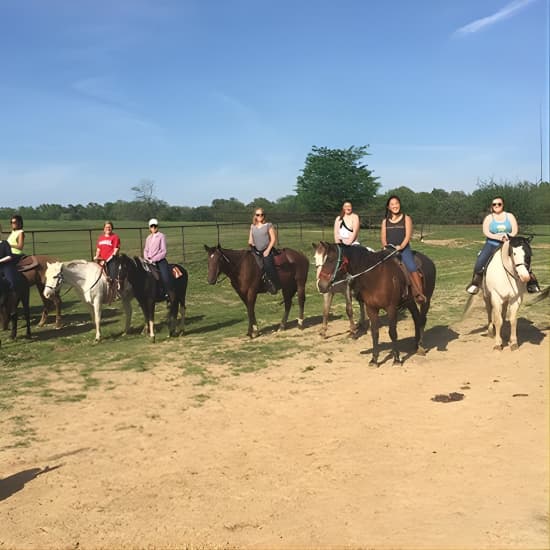 Memphis Horseback Trail Ride Tour