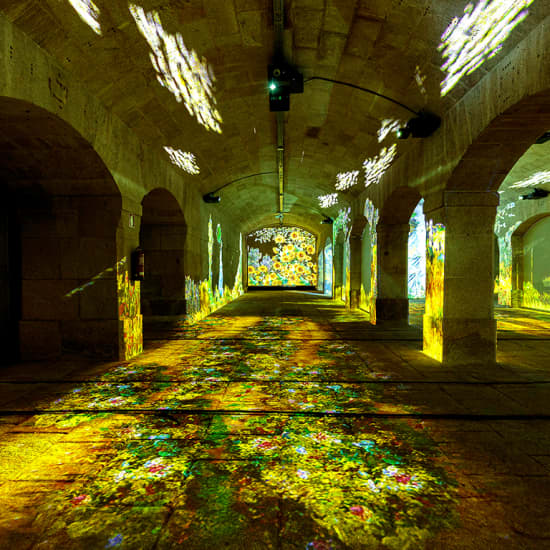 Impressive Monet & Brilliant Klimt: a pintura ganha vida