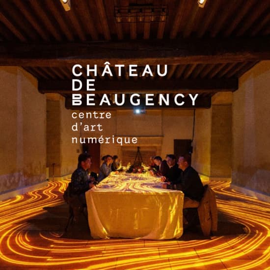 ﻿Immersive dinners at Château de Beaugency