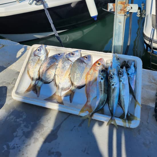 Excursión de pesca en alta mar en Fuengirola