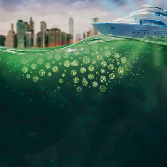 st patrick day booze cruise chciago
