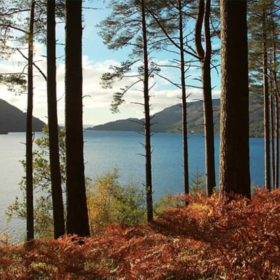 Loch Lomond, Cruise & Whisky Small-Group Day Tour from Glasgow