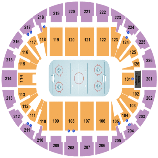 Manchester Monarchs vs. Reading Royals Manchester Fever